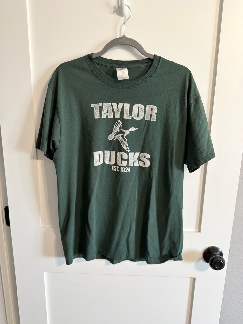 Jerzees Forest Green Taylor Ducks Graphic Tee